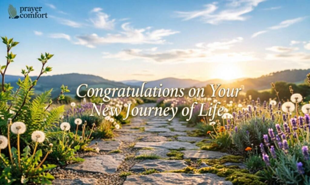 Congratulations on Your New Journey of Life