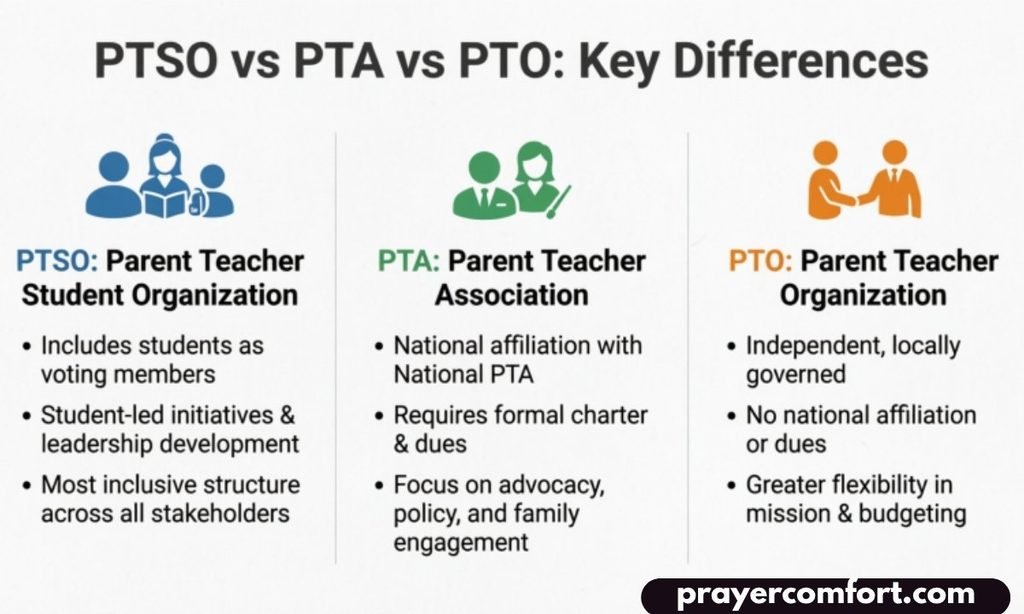 PTSO vs PTA vs PTO